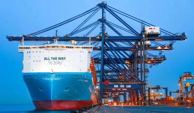 1714972205862276.jpg 640.webp (4).jpg